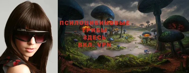 Галлюциногенные грибы Magic Shrooms  Нерюнгри 